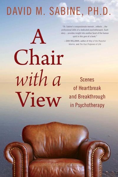 A Chair with a View: Scenes of Heartbreak and Breakthrough in Psychotherapy by David M. Sabine